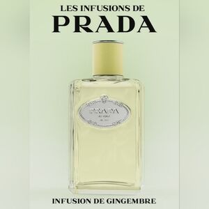 PRADA Infusion De Gingembre